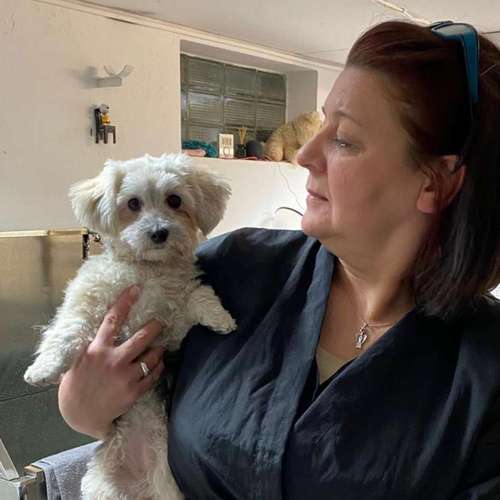 Hundeauslaufgebiet-Hundesalon Bettina Hakansson-Bild