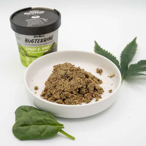 Hundeauslaufgebiet-BugBell GmbH-Bild