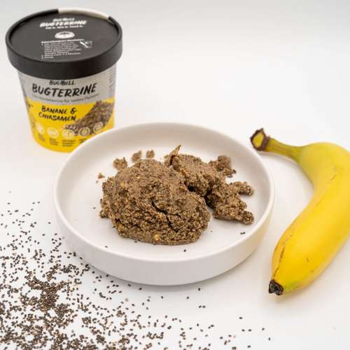 Hundeauslaufgebiet-BugBell GmbH-Bild