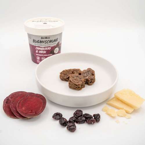 Hundeauslaufgebiet-BugBell GmbH-Bild