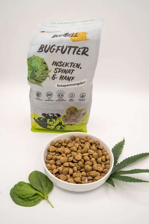 Hundeauslaufgebiet-BugBell GmbH-Bild