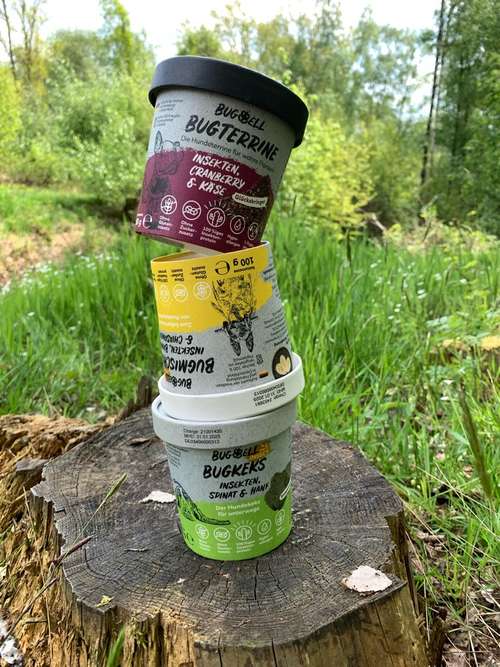Hundeauslaufgebiet-BugBell GmbH-Bild