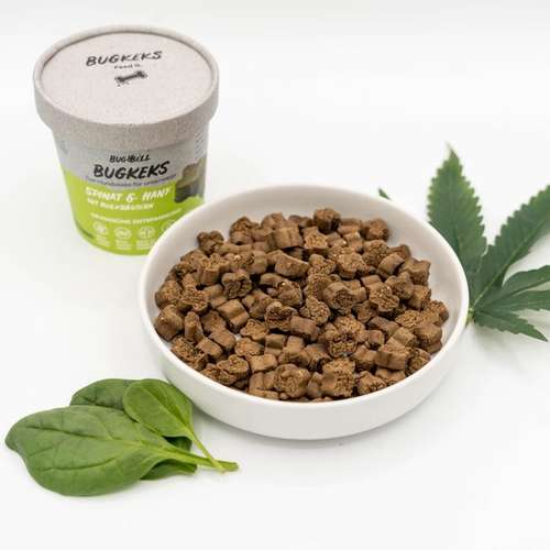 Hundeauslaufgebiet-BugBell GmbH-Bild