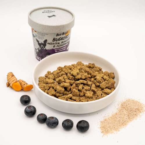 Hundeauslaufgebiet-BugBell GmbH-Bild