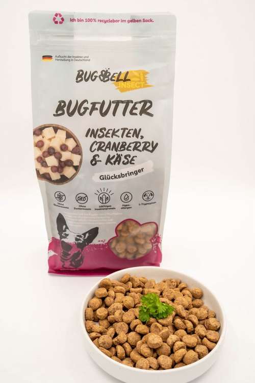 Hundeauslaufgebiet-BugBell GmbH-Bild
