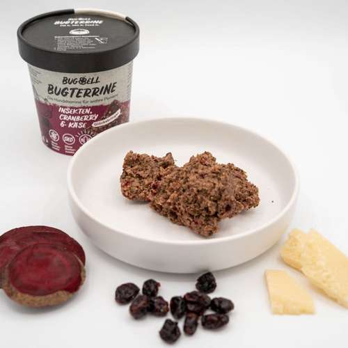 Hundeauslaufgebiet-BugBell GmbH-Bild