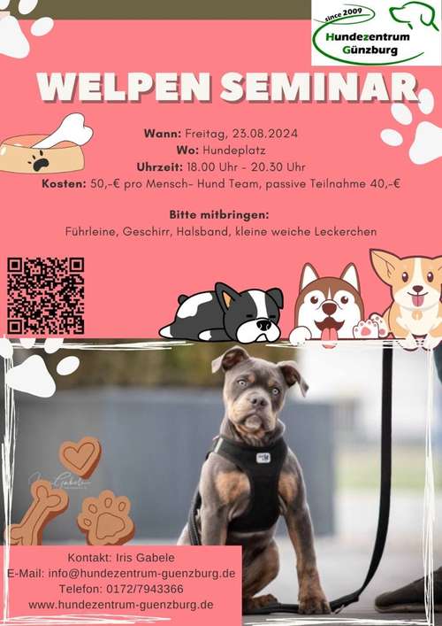 Hundeauslaufgebiet-Hundezentrum Günzburg-Bild