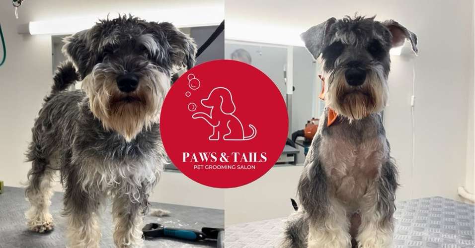 Hundeauslaufgebiet-Paws & Tails-Bild