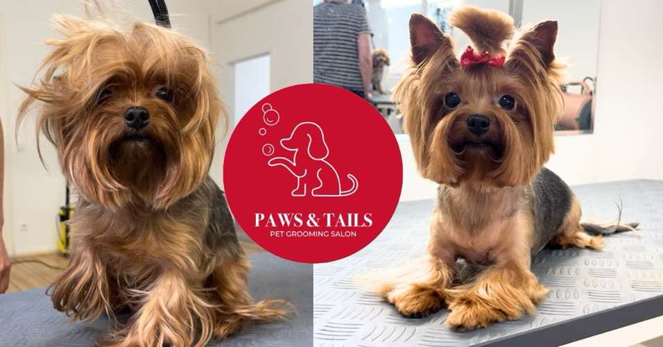 Hundeauslaufgebiet-Paws & Tails-Bild