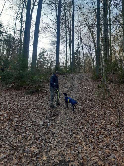 Hundeauslaufgebiet-Hundeschule HappyHund-Bild