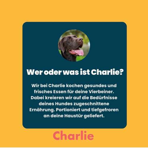 Hundeauslaufgebiet-MyCharlie-Bild