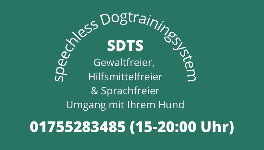 Hundeauslaufgebiet-Lautlos-Bild