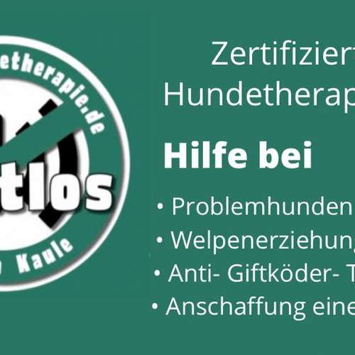 Hundeauslaufgebiet-Lautlos-Bild