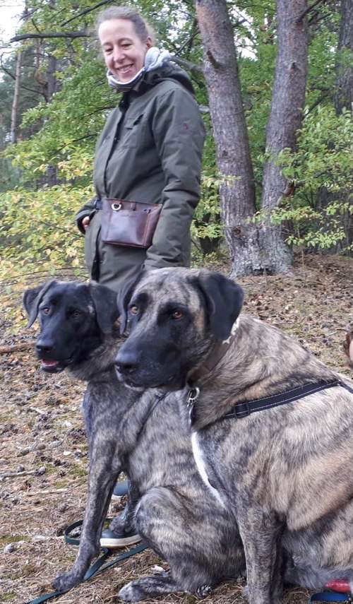 Hundeauslaufgebiet-Lautlos-Bild