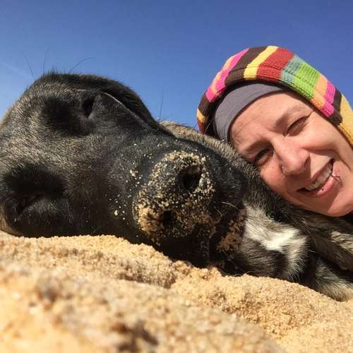 Hundeauslaufgebiet-Lautlos-Bild