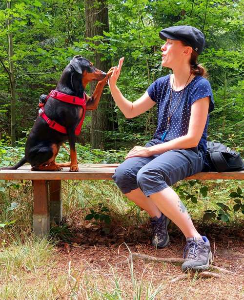 Hundeauslaufgebiet-kerilu-Bild