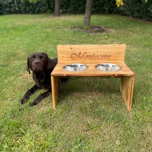 Hundeauslaufgebiet-Holzbar_Gravuren-Bild