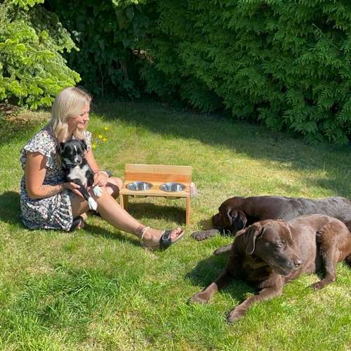 Hundeauslaufgebiet-Holzbar_Gravuren-Bild