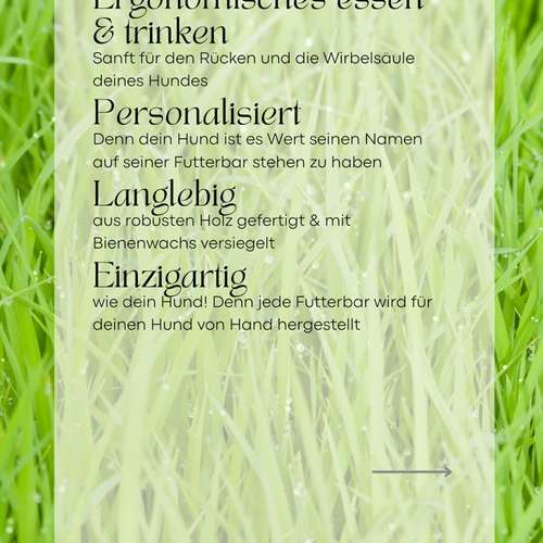 Hundeauslaufgebiet-Holzbar_Gravuren-Bild