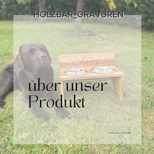 Hundeauslaufgebiet-Holzbar_Gravuren-Bild