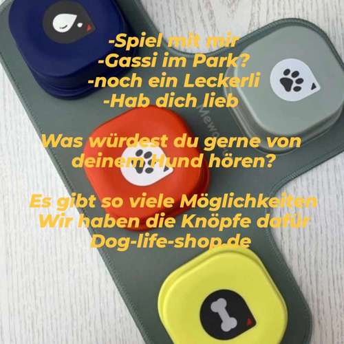 Hundeauslaufgebiet-Dog-life-shop.de -Bild