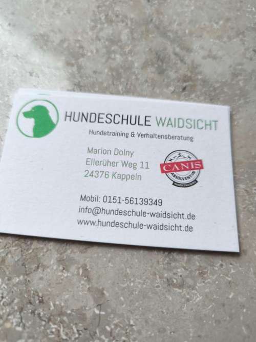 Hundeauslaufgebiet-HUNDESCHULE WAIDSICHT-Bild