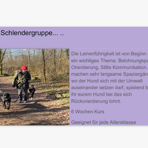 Hundeauslaufgebiet-INSIDE DOGS Mobile Hundeschule Voerde/We-Bild