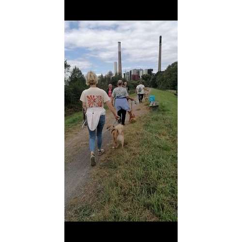 Hundeauslaufgebiet-INSIDE DOGS Mobile Hundeschule Voerde/We-Bild