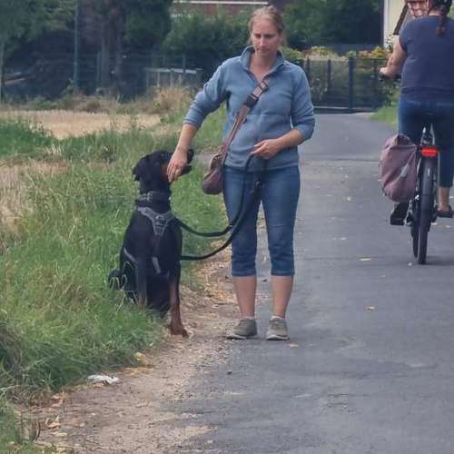 Hundeauslaufgebiet-INSIDE DOGS Mobile Hundeschule Voerde/We-Bild