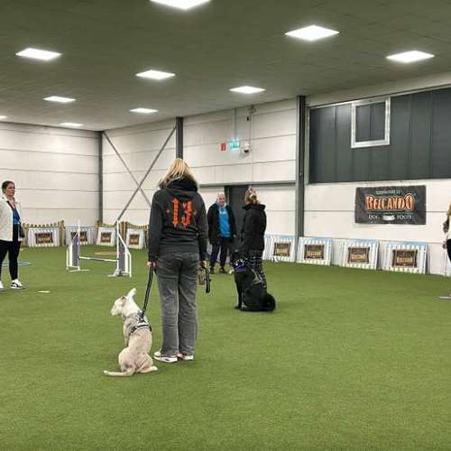 Hundeauslaufgebiet-INSIDE DOGS Mobile Hundeschule Voerde/We-Bild