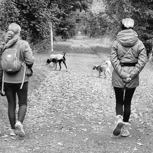 Hundeauslaufgebiet-INSIDE DOGS Mobile Hundeschule Voerde/We-Bild