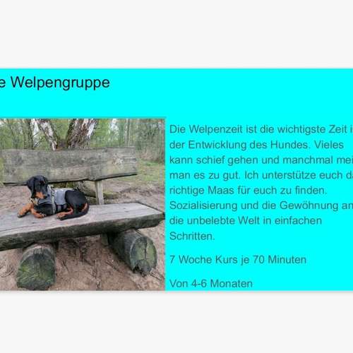 Hundeauslaufgebiet-INSIDE DOGS Mobile Hundeschule Voerde/We-Bild