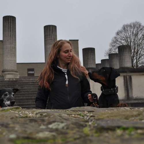 Hundeauslaufgebiet-INSIDE DOGS Mobile Hundeschule Voerde/We-Bild