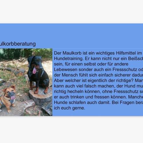 Hundeauslaufgebiet-INSIDE DOGS Mobile Hundeschule Voerde/We-Bild