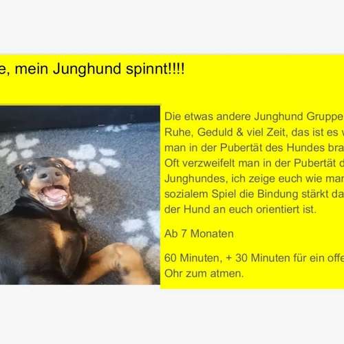 Hundeauslaufgebiet-INSIDE DOGS Mobile Hundeschule Voerde/We-Bild