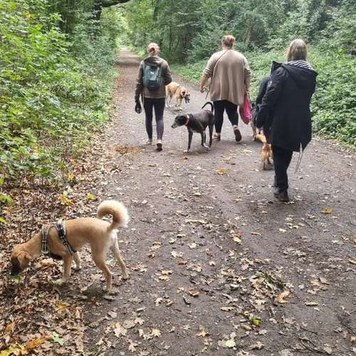 Hundeauslaufgebiet-INSIDE DOGS Mobile Hundeschule Voerde/We-Bild