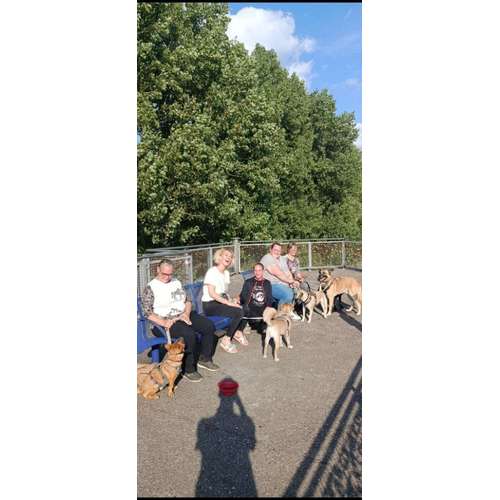 Hundeauslaufgebiet-INSIDE DOGS Mobile Hundeschule Voerde/We-Bild