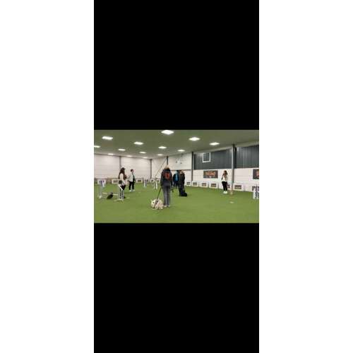 Hundeauslaufgebiet-INSIDE DOGS Mobile Hundeschule Voerde/We-Bild