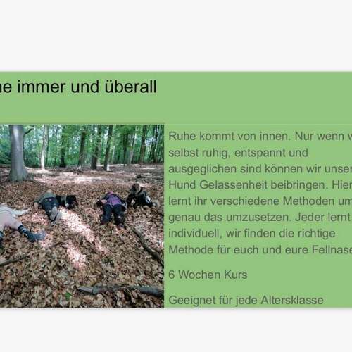 Hundeauslaufgebiet-INSIDE DOGS Mobile Hundeschule Voerde/We-Bild