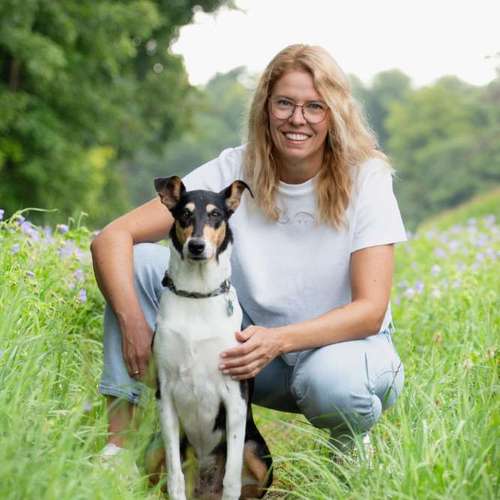 Hundeauslaufgebiet-DogCircle Hundeschule Dachau & München Nord-Bild