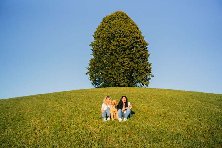 Hundeauslaufgebiet-animal voice | Tierkommunikation-Bild