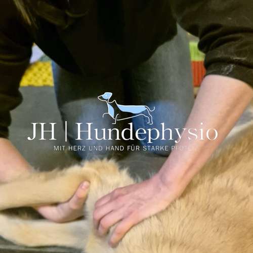 Hundeauslaufgebiet-JH | Hundephysio-Bild