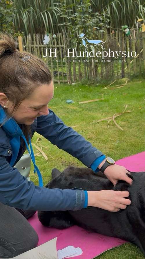 Hundeauslaufgebiet-JH | Hundephysio-Bild