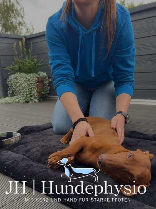 Hundeauslaufgebiet-JH | Hundephysio-Bild