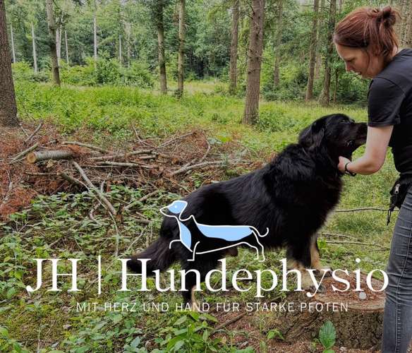 Hundeauslaufgebiet-JH | Hundephysio-Bild