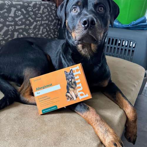 Hundeauslaufgebiet-Lord.Bobbel-Bild