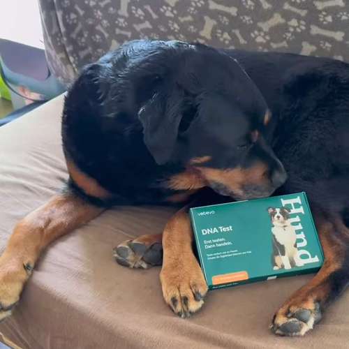 Hundeauslaufgebiet-Lord.Bobbel-Bild