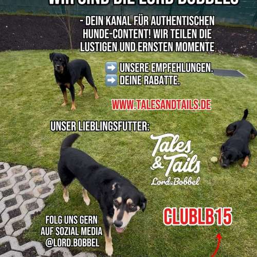Hundeauslaufgebiet-Lord.Bobbel-Bild