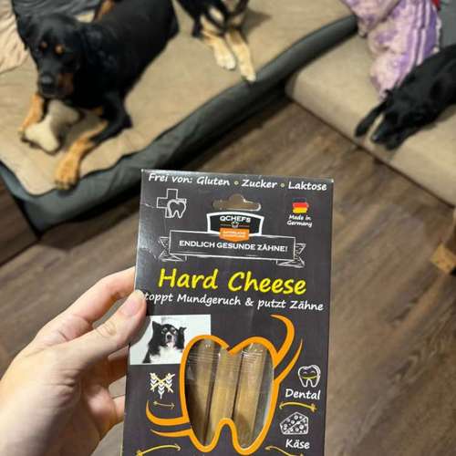 Hundeauslaufgebiet-Lord.Bobbel-Bild