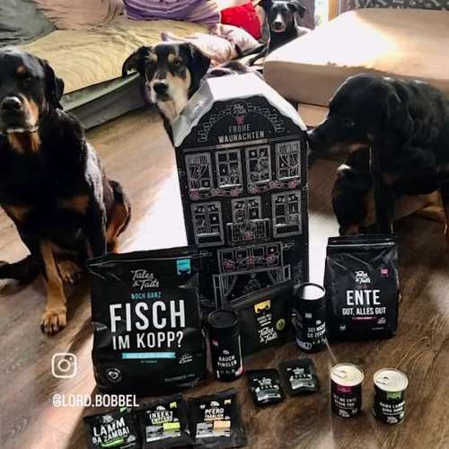 Hundeauslaufgebiet-Lord.Bobbel-Bild